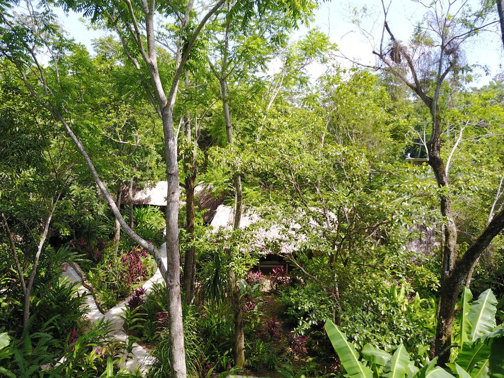 Hotel La Aldea Del Halach Huinic Palenque Exteriér fotografie